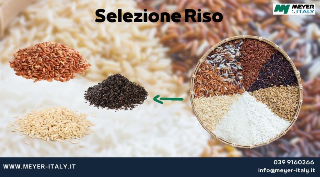 selezione del riso